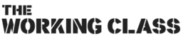 theworkingclassdognyc.com